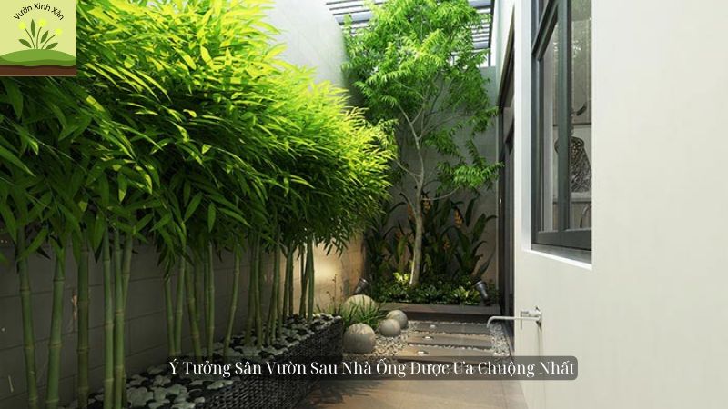 sân vườn sau nhà ống